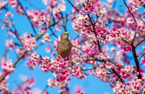 Hello September, I have a Spring in my step!